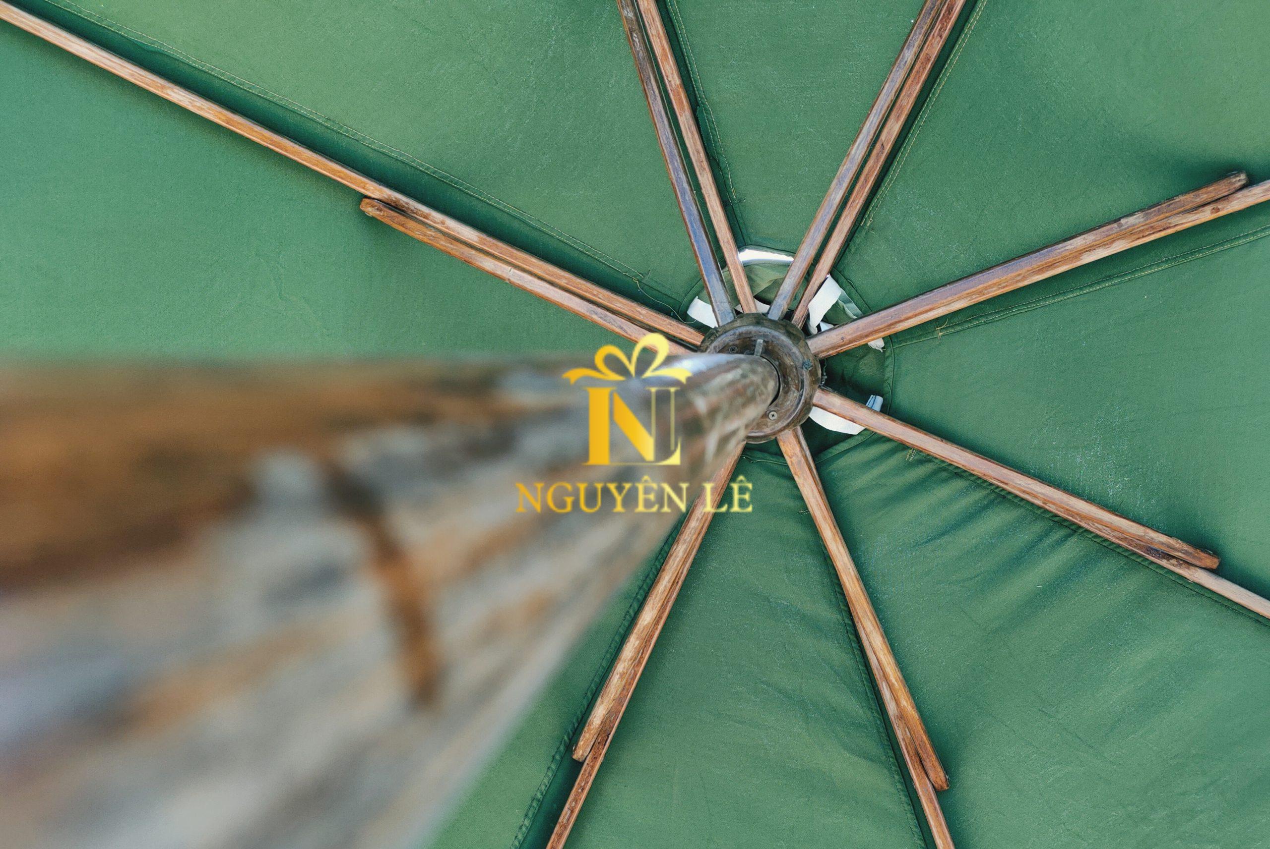 beach umbrella