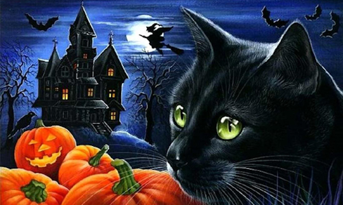 su-that-thu-vi-ve-halloween