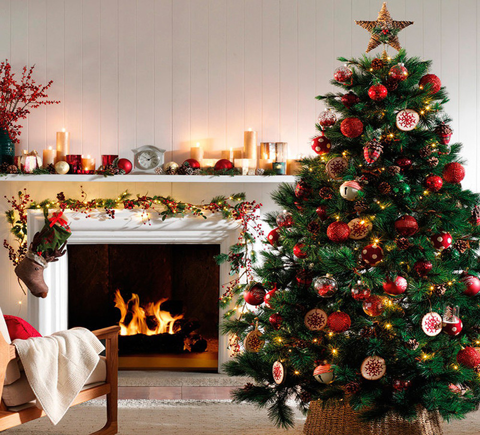 cây thông noel